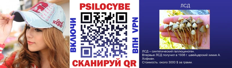 Псилоцибиновые грибы ЛСД  Купить где  Сенгилей 